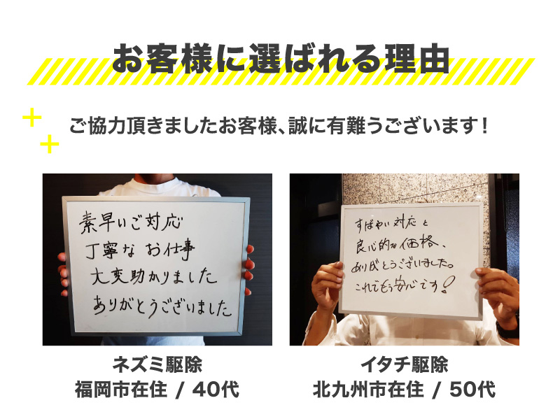お客様の声タイトル