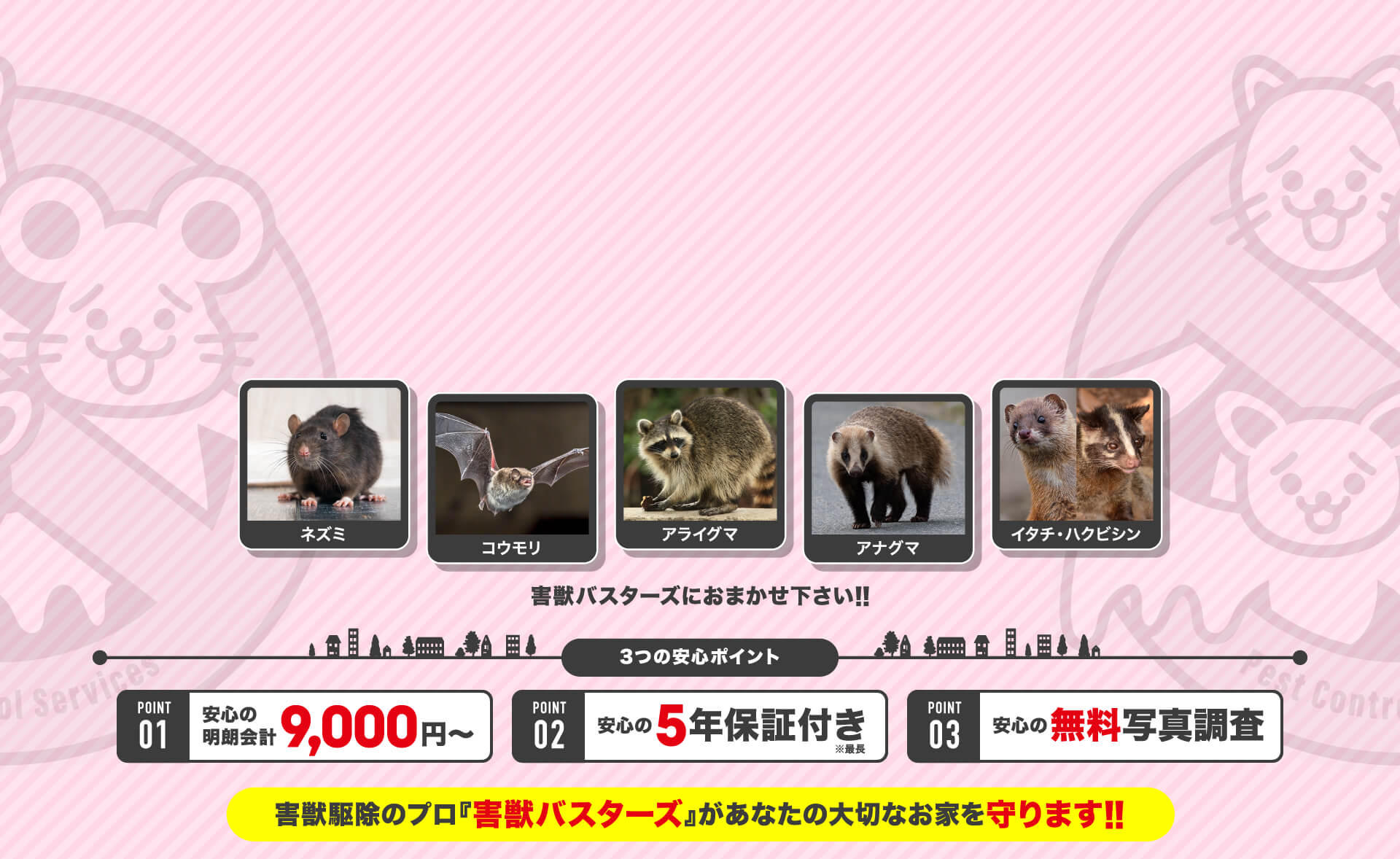 メインビジュアル