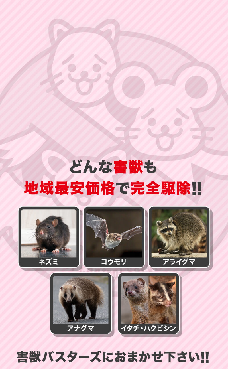 メインビジュアル