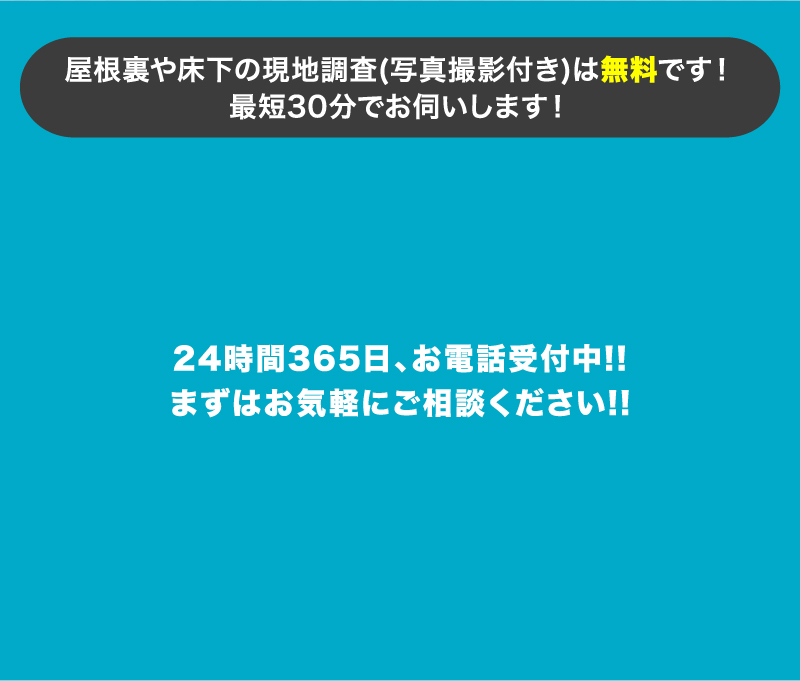 0円見積もり お電話一本で即日対応!!