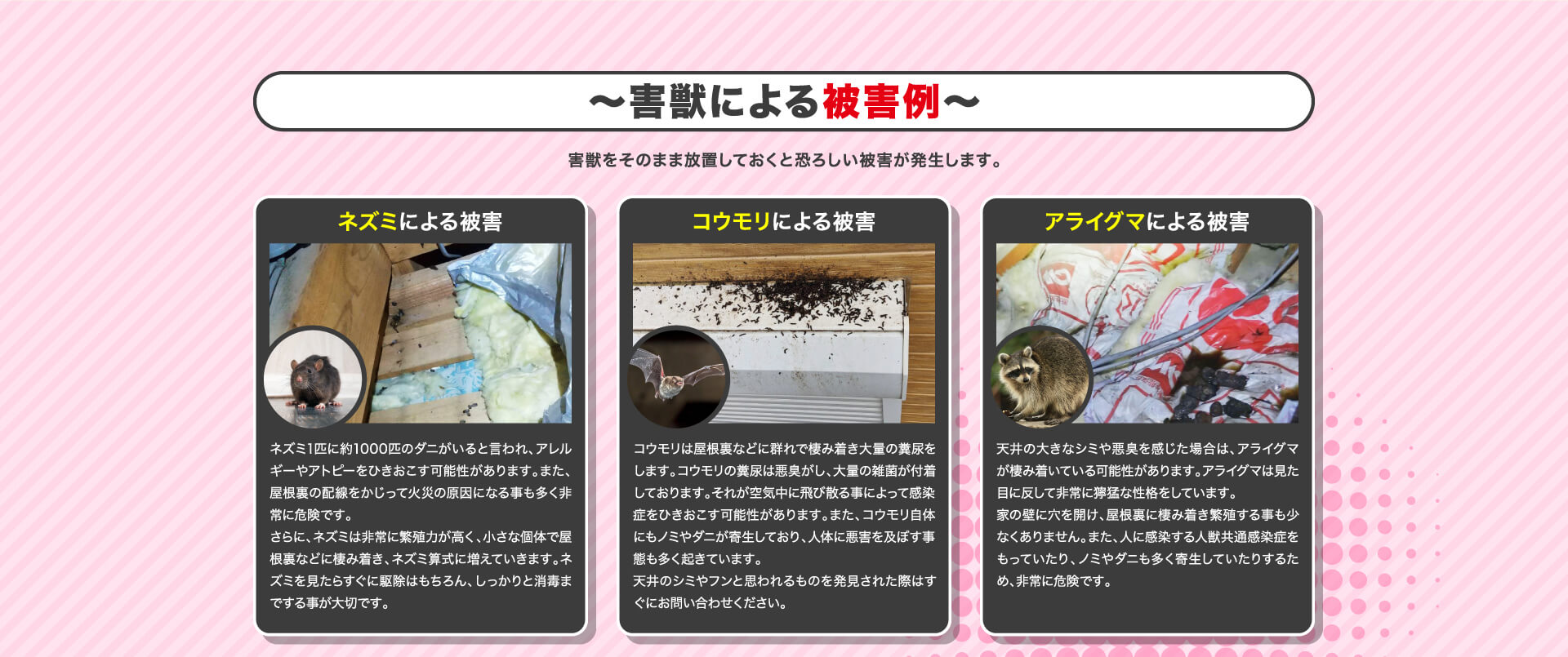 害獣による被害例