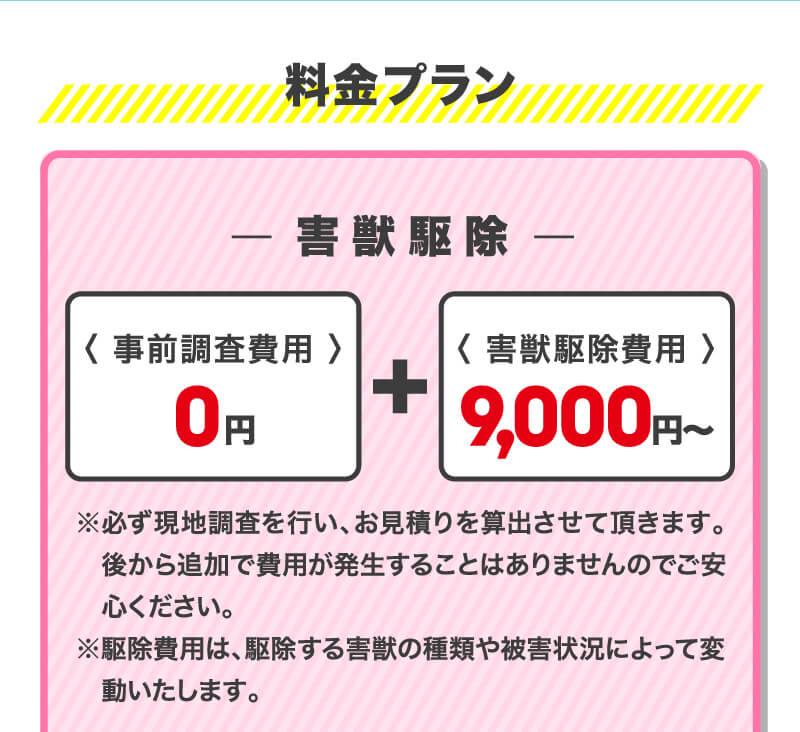 料金プラン