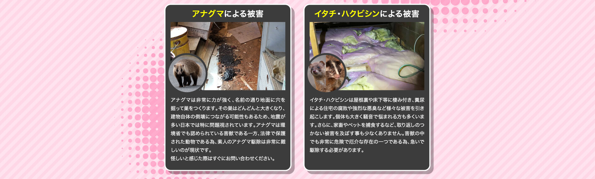 害獣による被害例