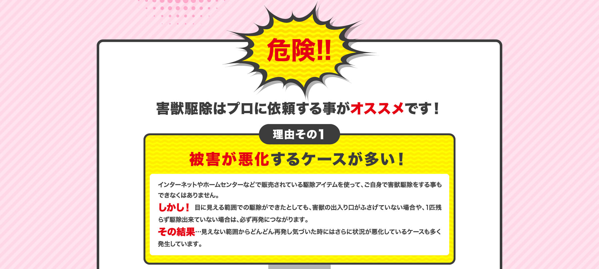 害獣駆除はプロに依頼することがオススメです!理由その1