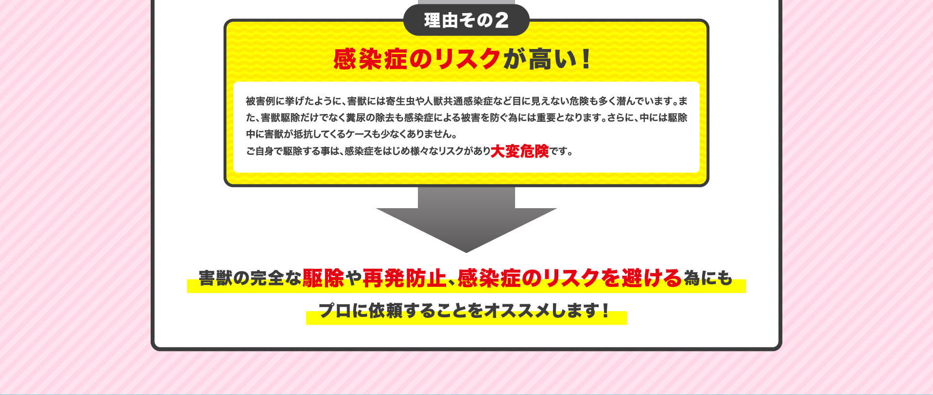 害獣駆除はプロに依頼することがオススメです!理由その2