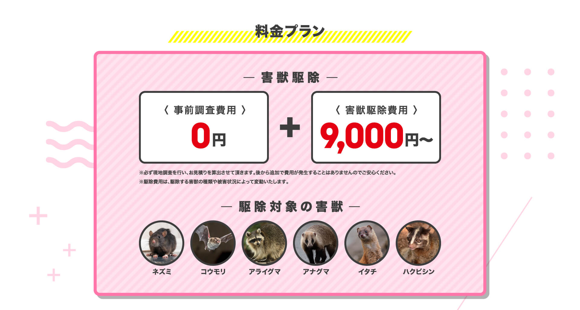 料金プラン