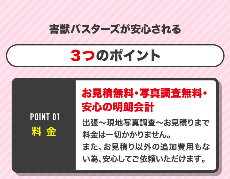 3つのポイント
