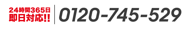 0120-745-529
